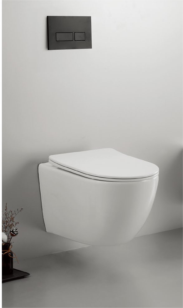 22002 Patented product wall hang toilet rimless, flush