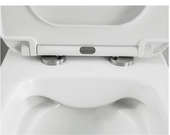 22002 Patented product wall hang toilet rimless, flush