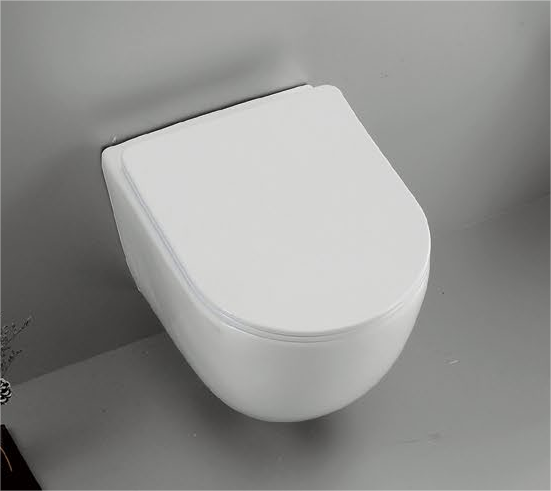 22002 Patented product wall hang toilet rimless, flush