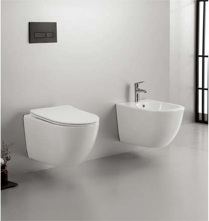 22002 Patented product wall hang toilet rimless, flush