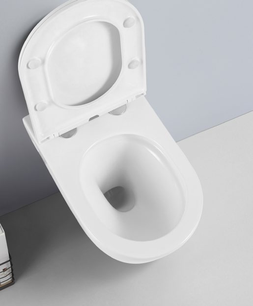 24002 Silent design patented product wall hang toilet rimless, flush