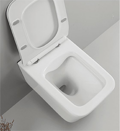 40002 Patented product wall hang toilet rimless, flush