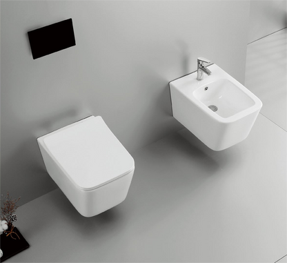 42002 Patented product wall hang toilet rimless, flush