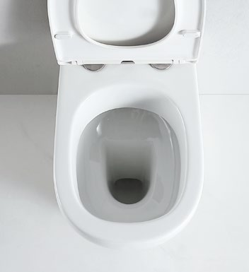 90002 Patented product wall hang toilet rimless, flush