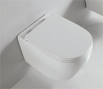 90002 Patented product wall hang toilet rimless, flush